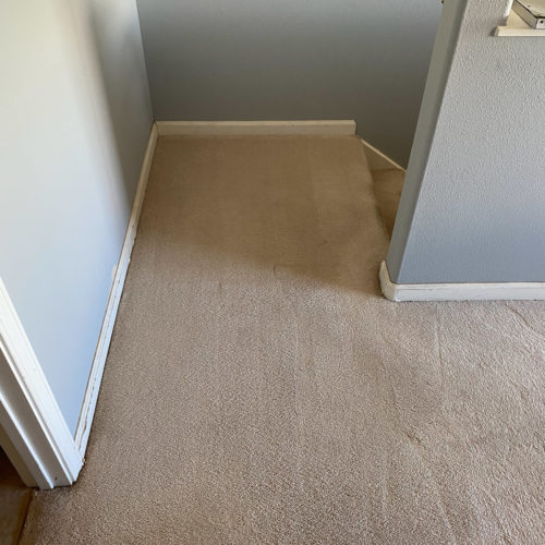 Eds-carpet-cleaning