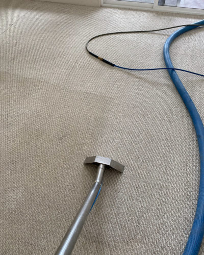 Vacuum on carpet