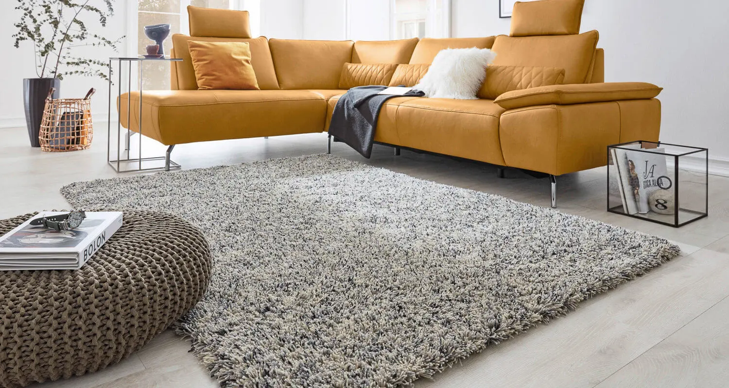 sofa-rug-cleaning-services