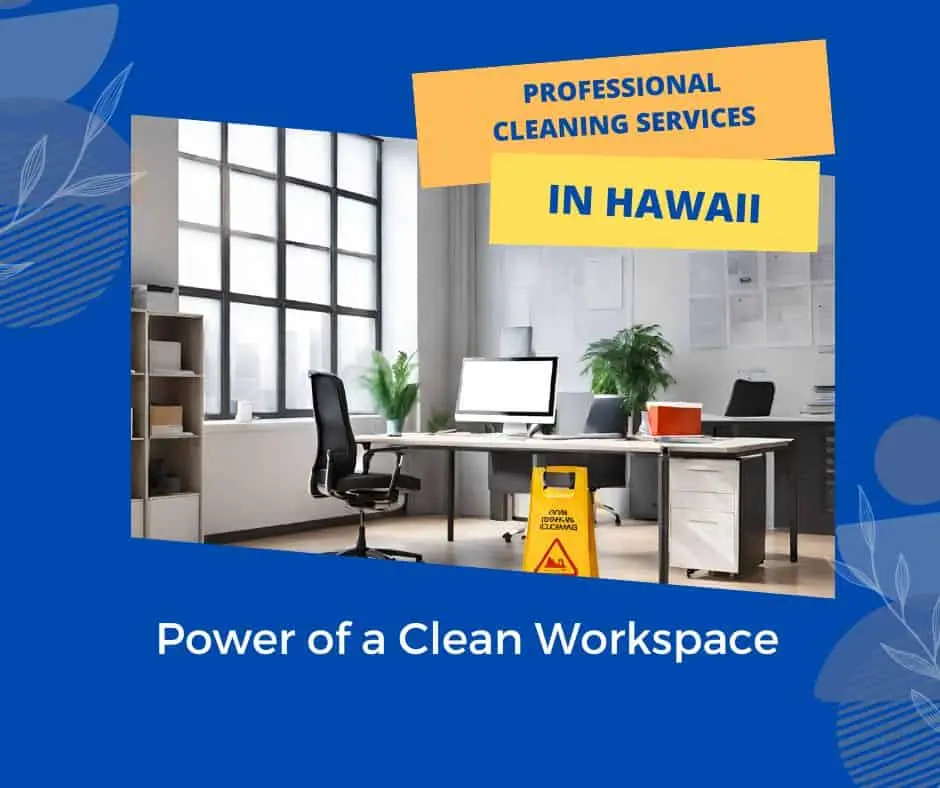 cleaning services in Hawaii